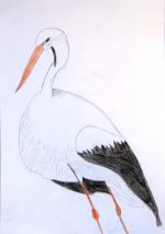 Murgašová Bianka.jpg